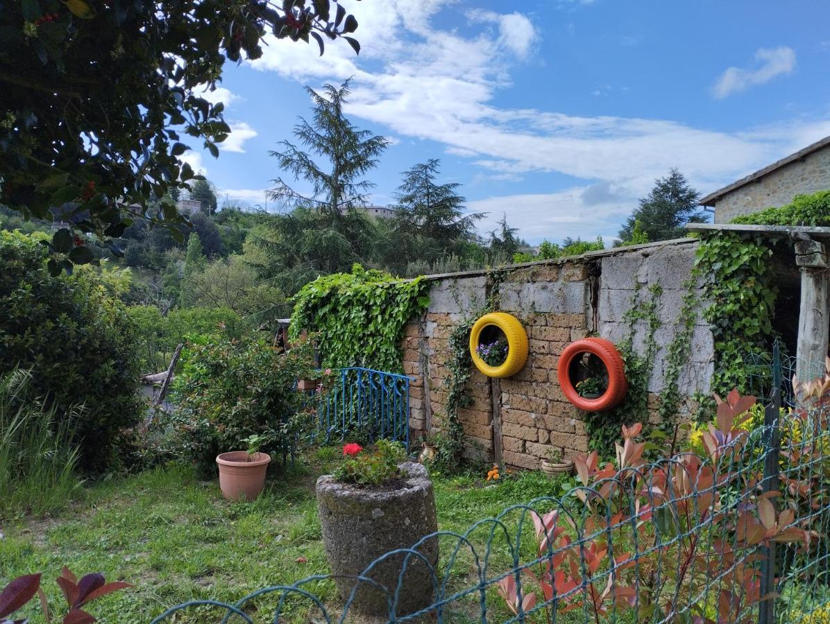 Villa Casavacanzetorresansevero Orvieto Exterior foto